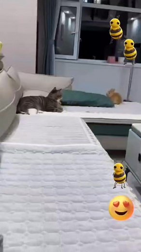 Cats vs Rabbits✨️😄 | Alex Cattery House