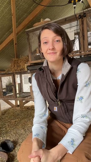 LIVE Meat Rabbits Q&A 🐇 If you’re thinking about raising meat rabbits (or you already started and have questions), come hang out with me! I’ll be answering your questions in real time — everything from best meat rabbit breeds, housing setups, feeding, breeding schedules, mistakes beginners make, and how we run our rabbit system on the homestead. Drop your questions in the comments and I’ll answer as many as I can! 🐇💛 | Roots & Rabbits Homestead