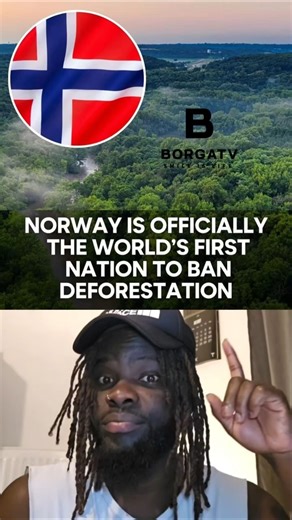 Norway has become the first country in the world to officially ban deforestation.#news #shorts #fyp