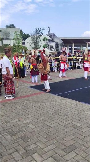 MenulisTHE WORLD IS STUNNED 🇮🇩🔥 ANCIENT CACI WARRIORS OF FLORES!