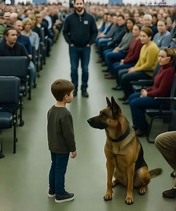 1.9M views · 11K reactions | “My Mommy Won’t Wake Up…” — A Cry at the Airport That Sent a K9 Officer Racing Against Time Little boy cries at gate, then K9 dog does something no one expected... At first they thought he was just lost... But the dog knows something no one else knows.. Full story in 1st comment  | The meaning of life | Facebook