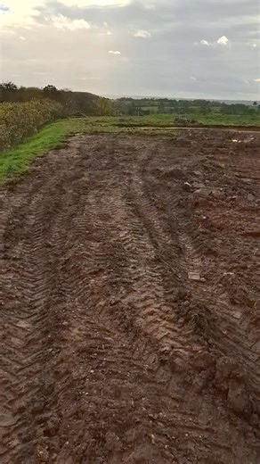 Back on the big project | Complete aquatics