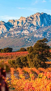 ¿Cuál es tu rincón favorito de Rioja Alavesa? 🍇🏞️ Desde Laguardia hasta las espectaculares Bodegas Ysios, diseñadas por Santiago Calatrava, ¡hay mucho por explorar! 😍 Guarda este vídeo para conocer los mejores consejos para un fin de semana perfecto en este rincón 🚗🍷 📍@RutadelVinodeRiojaAlavesa 📸 xndresharo Laguardiatik, Santiago Calatravak diseinatutako Ysios upeltegi ikusgarriraino, hainbeste dago arakatzeko! 😍 Gorde bideo hau ametsetako txoko honetan asteburu bikain baterako aholkurik