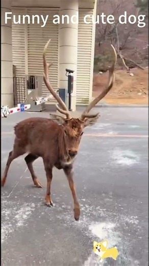 #illustration #tattoo #art #pov #procreate #drawing #whydidntmyexcomeback #digitalart