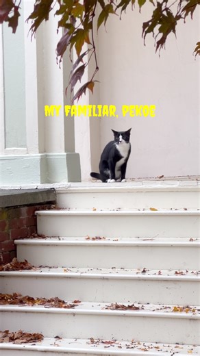 Halloween weddings are Spooktacular. You can really let your imagination run wild. Halloween next year is a Saturday. You will have days to decorate for a truly memorable wedding that will have your friends and family and Instagram talking for years!#privateestateweddingvenue #catskills #privateestatewedding #hudson #unique #hudsonriver #barnwedding #tentwedding #halloween #halloweenwedding #halloweenweddings #halloweenweddinginspiration #spooktacular #familiar #gothaesthetic #gothgirl #witchaes