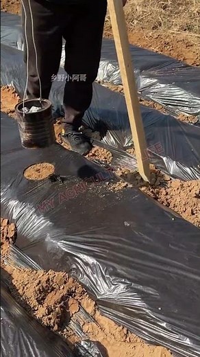 Ingenious DIY Tool for Perfect Mulch Hole Punching