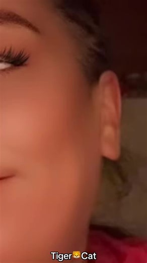 #duett med @Tiger🐯Cat 🇳🇴🇳🇴🇳🇴