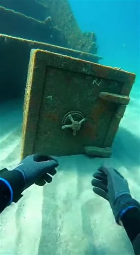 Exploring the Depths: A POV Adventure in the Deep Sea