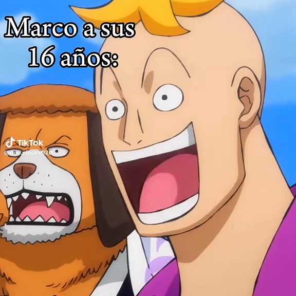 Edición de One Piece: Capítulo 1015 y Personajes Favoritos