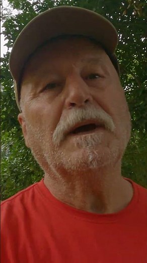 Far North Queensland is a hotbed for wildlife , spotted this rare Tree Mouse near Pt Douglas