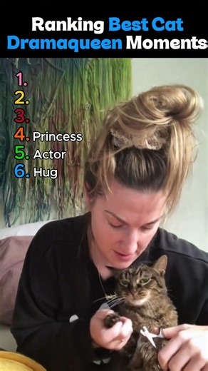 Ranking the most DRAMATIC cats 🎭 ( Last one is my fav!) #shorts #cat