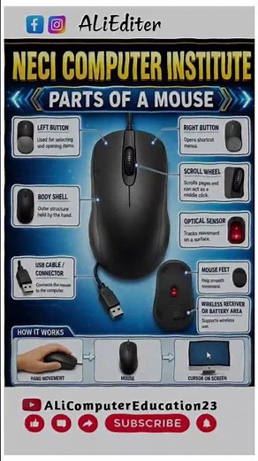 Parts OF A Mouse / Computer Mouse #computers #education #viedos #short #youtubevideos #facebookreel