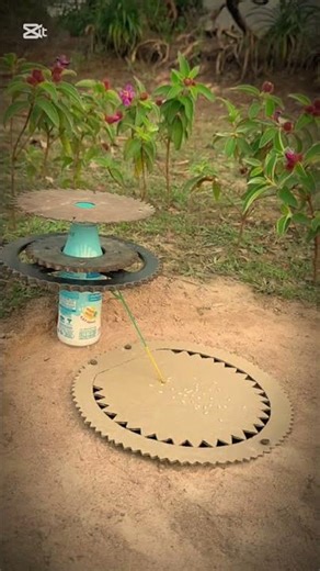How to make a trap #animaltrap #mousetrap #misttrapmovement #birdtrap #wildliferescue