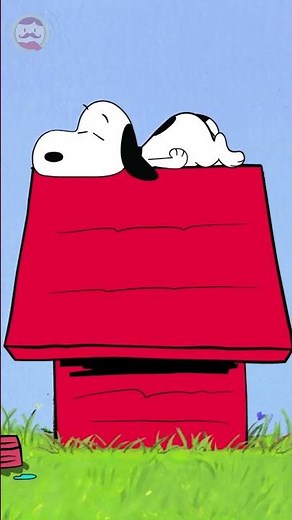 Por esto SNOOPY no duerme dentro de su casita #shorts