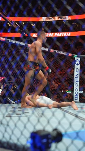 278K views · 4.4K reactions | The Cannibal  Alexandre Pantoja looks to make good in his fifth title defence at #UFC323! [ December 6th | LIVE on PPV ] | UFC | Facebook