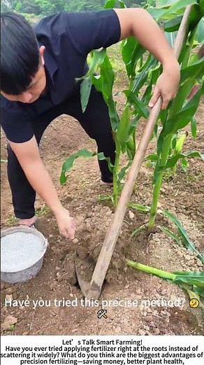 Precision Root Fertilizing – Feeding Corn Plants Where It Counts! 🌽💪