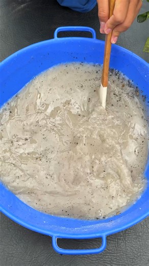 63K views · 729 reactions | Como usar el carbon en las plantas usando este metodo casero | Plantas y El Ddario | Facebook