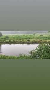This young coastal brown bear was spotted today on the Spasski River Valley Wildlife & Bear Search. We sure enjoyed watching this little one splash around & fish for salmon! #icystraitpoint #Hoonah #Alaska #brownbear #🐻 #explore | Icy Strait Point