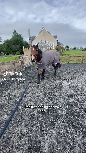 Reality of Being a Female Rider in Equestrian Sports