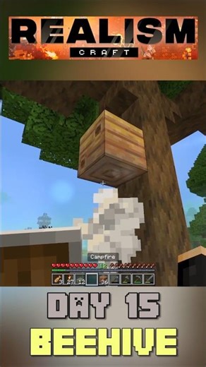 Preparing My First Beehive! 🐝 | Realism Craft