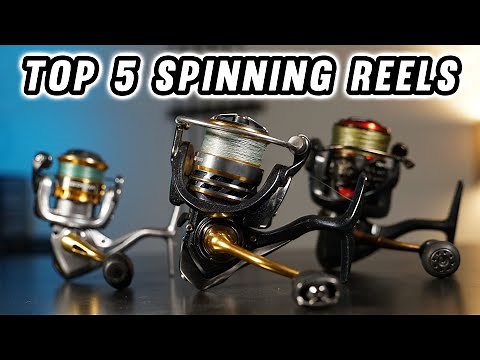 The Top 5 Spinning Reels Under $100! Buying Guide