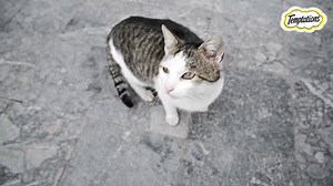 “You’re finally home from summer holidays, time for some me time. TEMPTATIONS® included!" | Temptations Canada