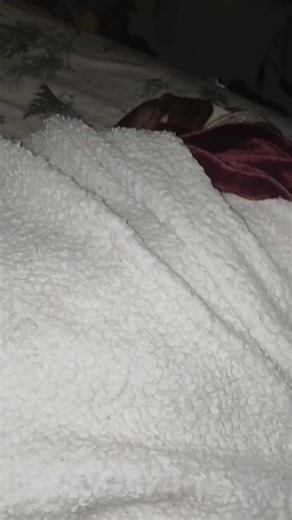 baby blue gypsy Why are you up ? http:/livegood.com livingthegoodlife