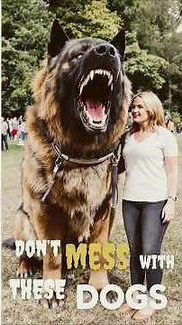 The Scariest Dog Breeds in the World 😱 #1 Will Shock You! #animals #doglovers