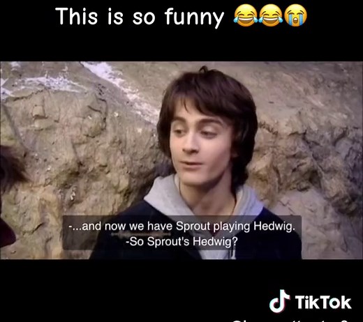 Behind the Scenes with Hedwig: The Owl Actor in Harry Potter