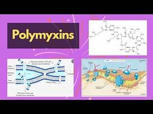 Polymyxins | polymyxins cell membrane inhibitors and their functions | polymyxin chemical structure