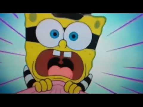 Zooms Wipes Mouth Cartoon Special Edition Compilation