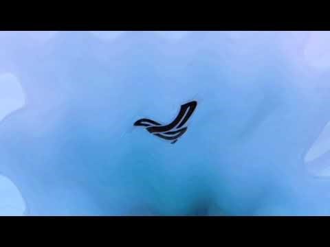 [REQUESTED] PlayStation Logo Effects [AlloFresh Csupo Effects EXTENDED]