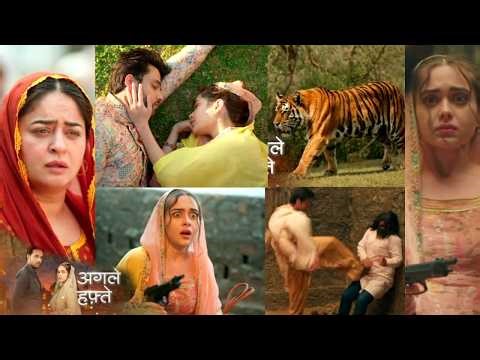 Seher Hone Ko Hai Tomorrow New Promo | 28 February | Seher Or Mahid Fasne Wale Hai Jungle Mein