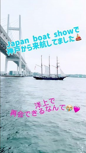 奇跡の再会⚓️✨ベイブリッジの下ですれ違った帆船『みらいへ』が美しすぎた…！ #shorts #クルーズライフ #japanboatshow #絶景 #帆船みらいへ #海旅