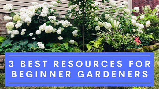 Top 3 gardening resources for beginner, intermediate, advanced gardeners
