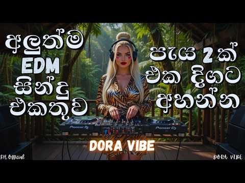 මේ දවස්වල ජනප්‍රියම EDM සින්දු එකතුව | Edm Songs Collection | Sinhala Trending EDM Remix Song