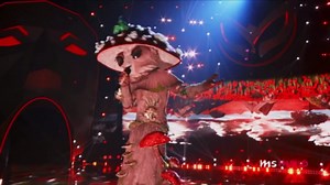 Top 20 best The Masked Singer performances