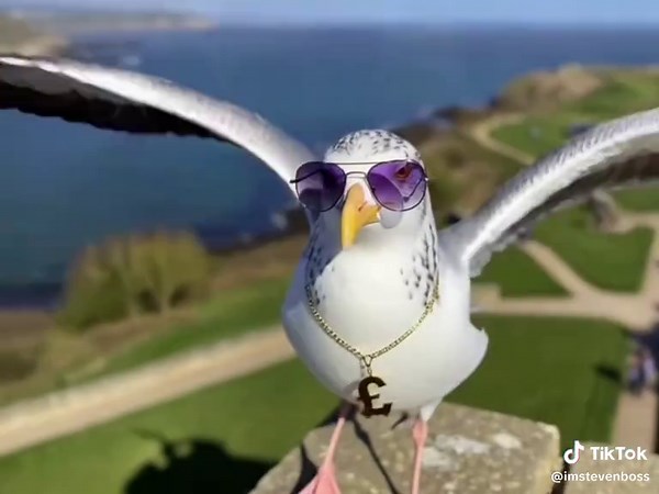 Exploring Scarborough's Rave Scene: Beyond Seagulls