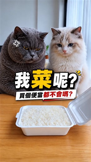 Brains are a wonderful thing — funny cat Taixi Taiwan video