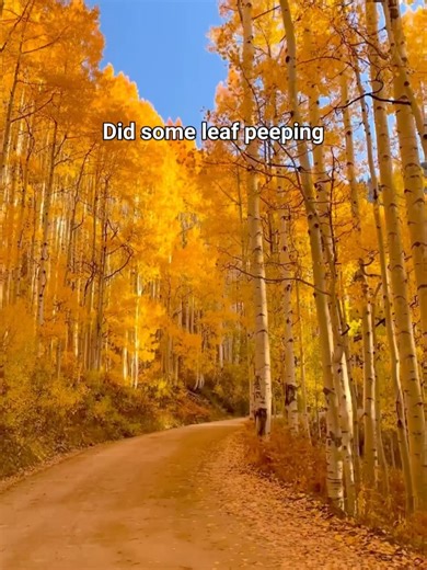 Western Colorado University on Reels