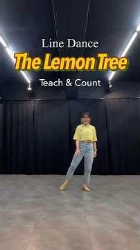 The Lemon Tree - Line Dance | 4 Wall 같이 돌아요