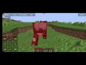I played minecraft java edition for first time