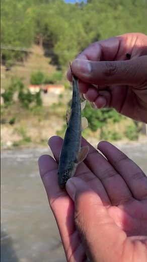 경남 산청 경호강 은어 투망 대박? 첫 고기 놓치면 하루 종일 꽝이라는 징크스 🐟