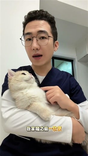 The Mystery of a Cat's Tummy Troubles: Every Cat Owner's Dilemma