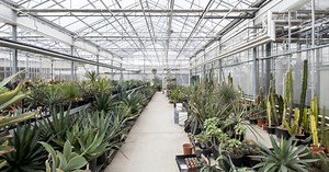 Watch: Behind the scenes at our Tropical Nursery