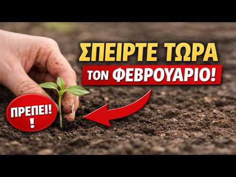 ΜΗ ΧΑΝΕΤΕ ΧΡΟΝΟ! Πάνω από 20 καλλιέργειες που πρέπει να σπείρετε τον Φεβρουάριο για την πιο πρώιμη