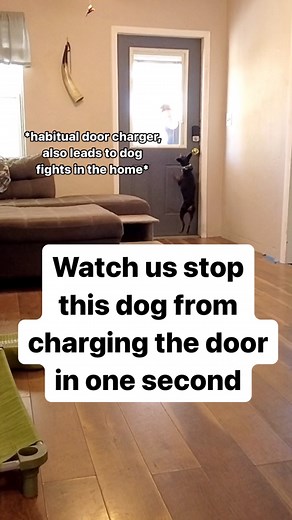 24K views · 72 reactions | How to stop barking at the door in one...
