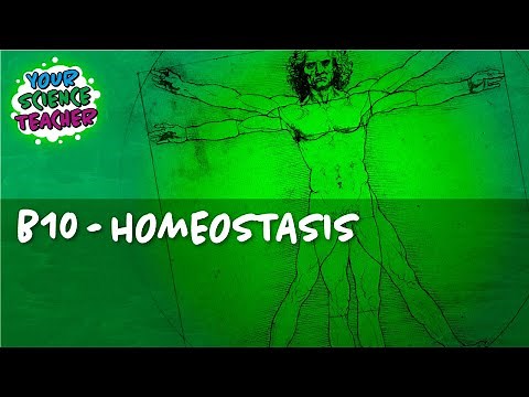 B10 - WHOLE TOPIC THE HUMAN NERVOUS SYTEM AQA GCSE 1-9