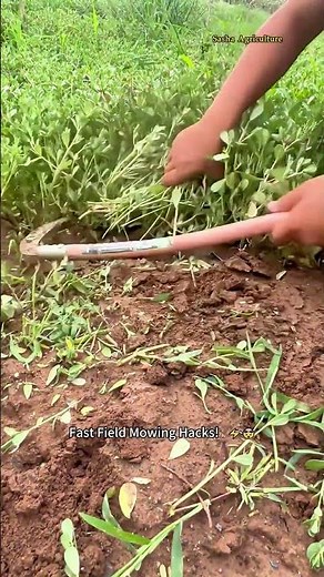 Fast Field Mowing Hacks!​​ ⚡🤯