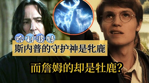 《哈利·波特》：为什么斯内普的守护神是牝鹿，詹姆是牡鹿？
